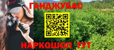 стаф Кинель