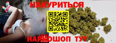 стаф Кинель