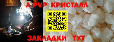 стаф Кинель