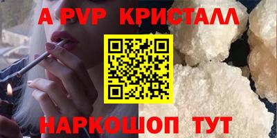 стаф Кинель
