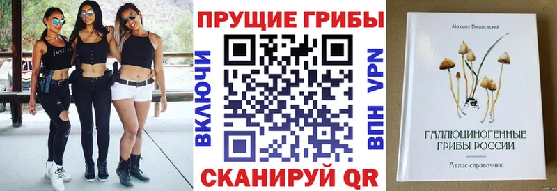 Галлюциногенные грибы Psilocybine cubensis  закладка  Миасс 
