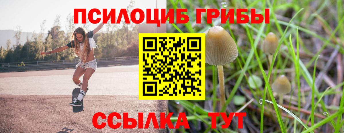 Галлюциногенные грибы Psilocybe Миасс