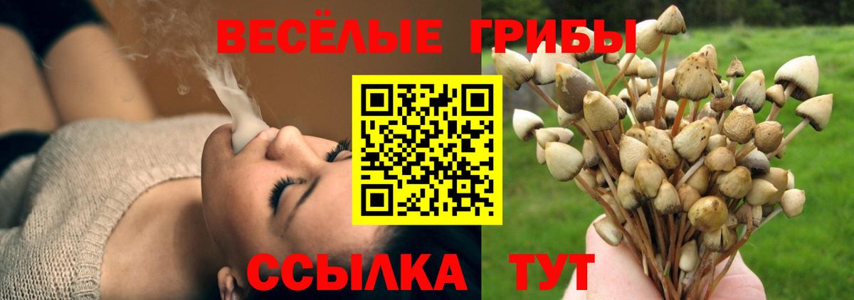 Миасс  Галлюциногенные грибы мухоморы  Вход с VPN 
