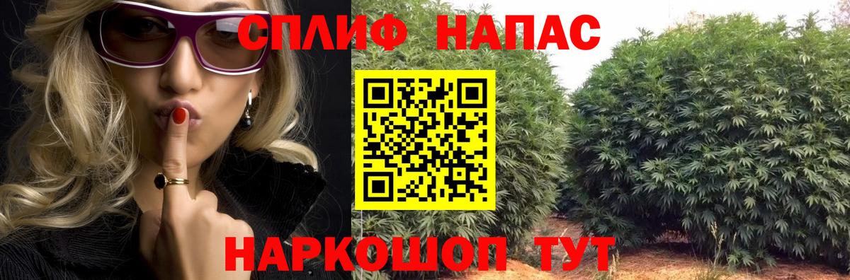 Шишки марихуана марихуана Миасс